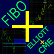 Fibo+Elliott+CME